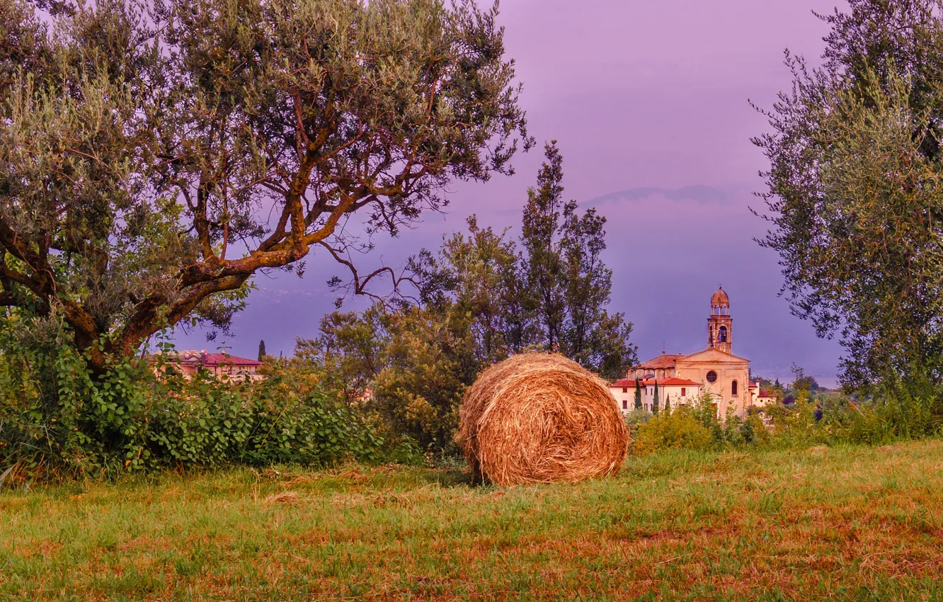 Photo wallpaper field, trees, the evening, hay, Church, Kip