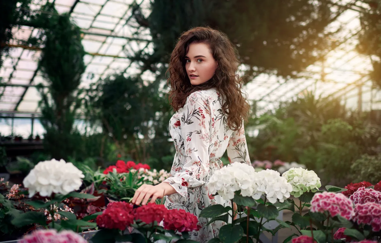 Photo wallpaper look, girl, flowers, pose, dress, hydrangea, greenhouse, Sergey Olszewski
