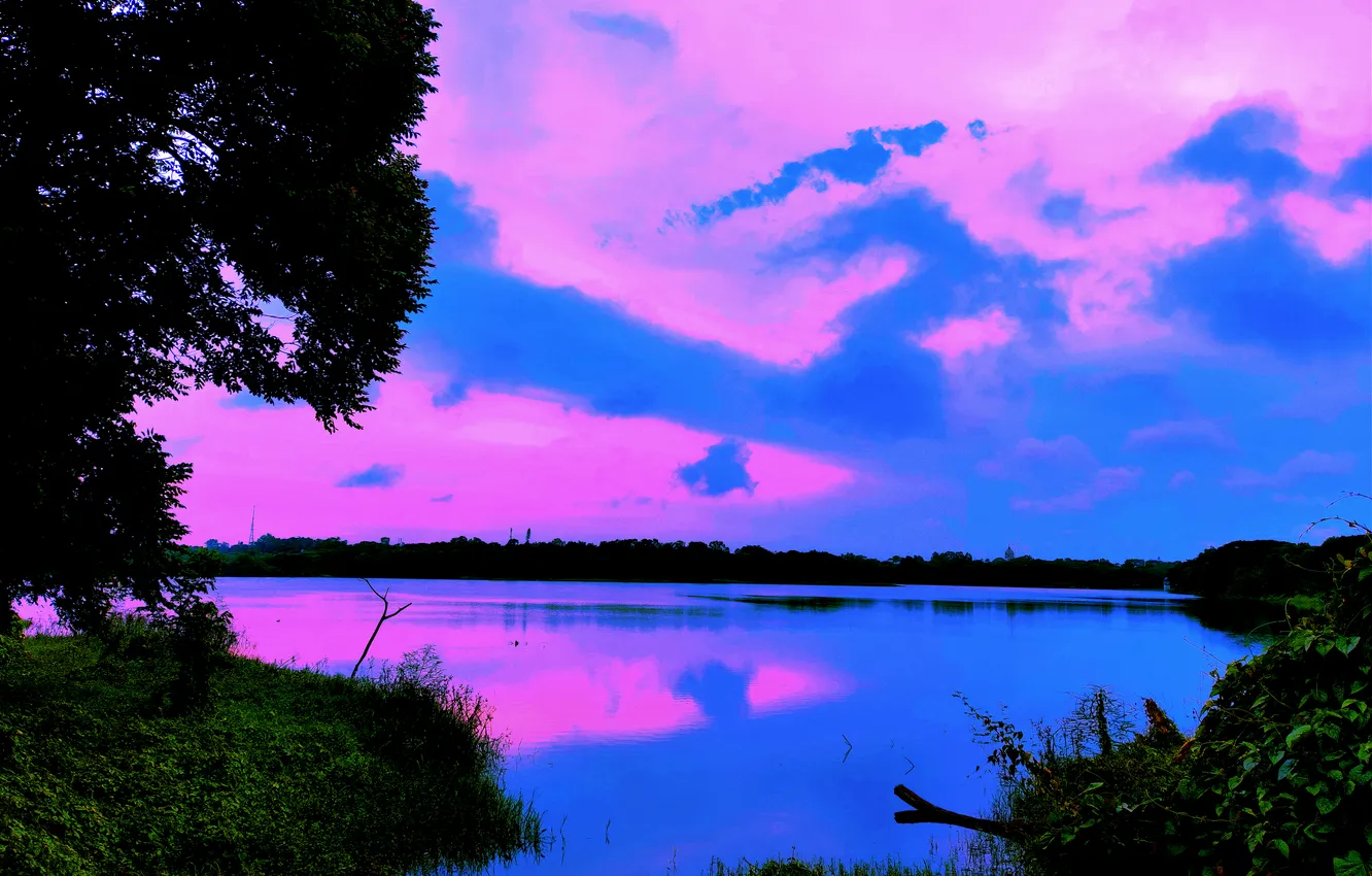 Photo wallpaper sky, trees, water, clouds, lake, morning, sun, bushes
