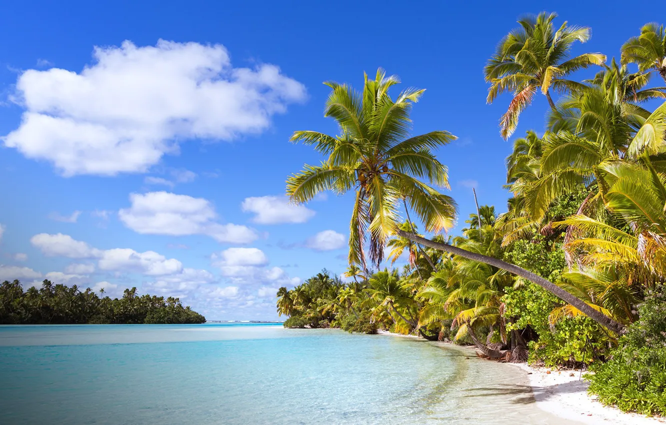Photo wallpaper beach, tropics, palm trees, the ocean, Laguna, aitutaki, Cook Islands, One Foot Island (Tapuaetai)