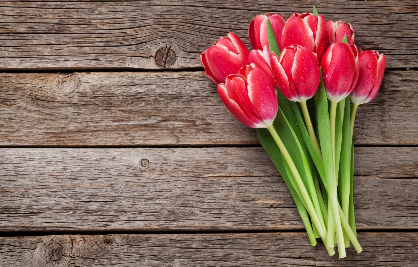 Photo wallpaper flowers, red, bouquet, tulips, red, wood, flowers, romantic