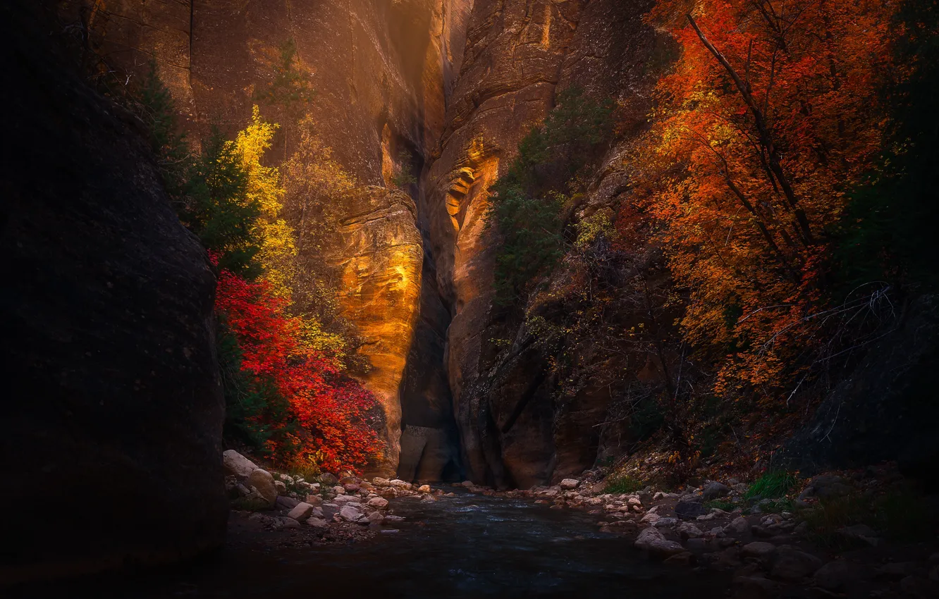 Photo wallpaper autumn, trees, landscape, nature, river, rocks, gorge, Utah