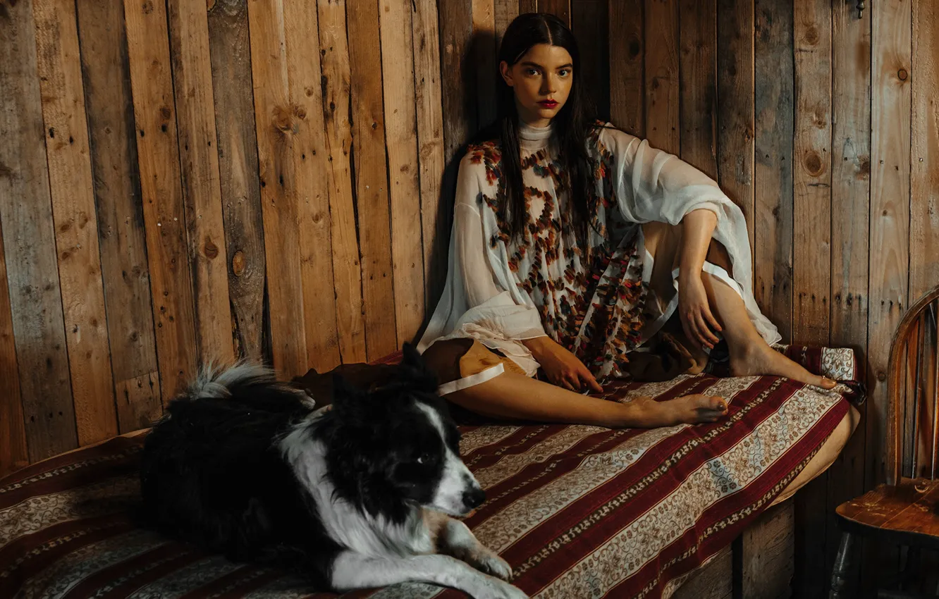 Photo wallpaper bed, dog, actress, brunette, chair, photoshoot, Hunger, Anya Taylor-Joy