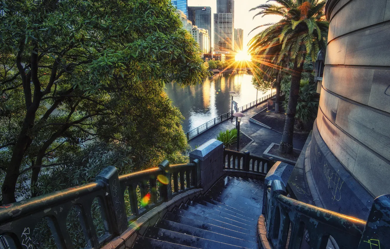 Photo wallpaper summer, trees, sunset, the city, river, steps