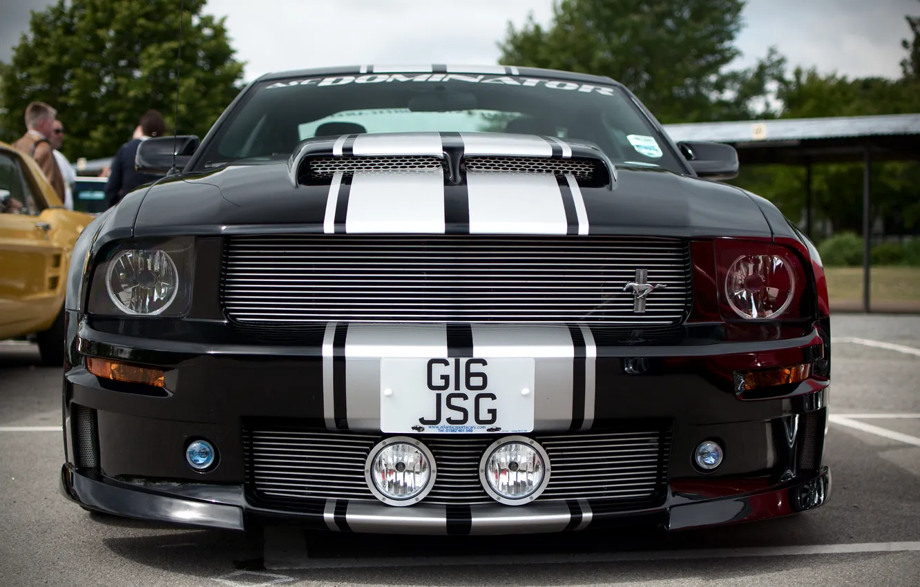 Photo wallpaper white, black, mustang dominator