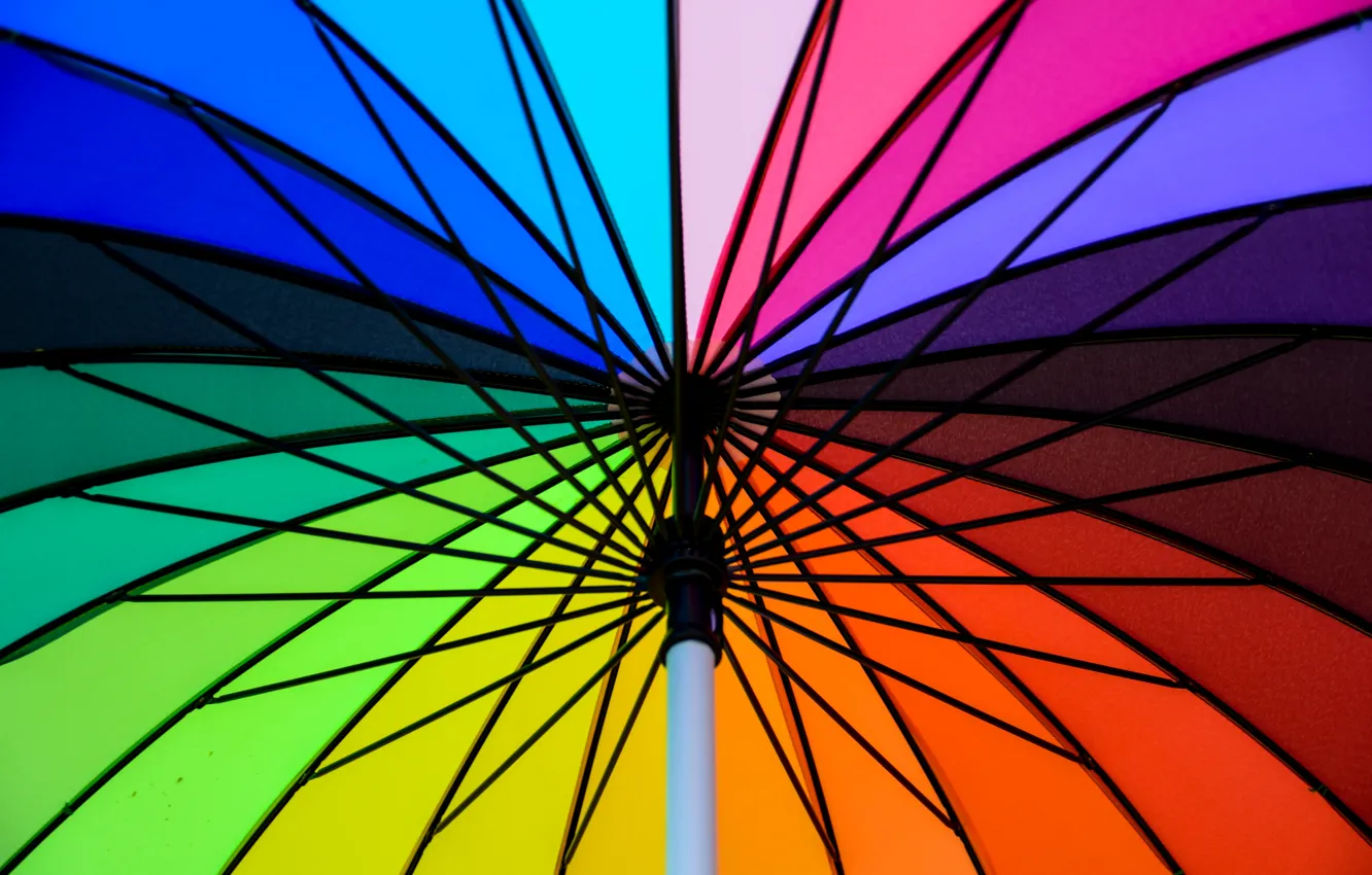 Photo wallpaper background, color, rainbow, colors, umbrella, colorful, rainbow, umbrella