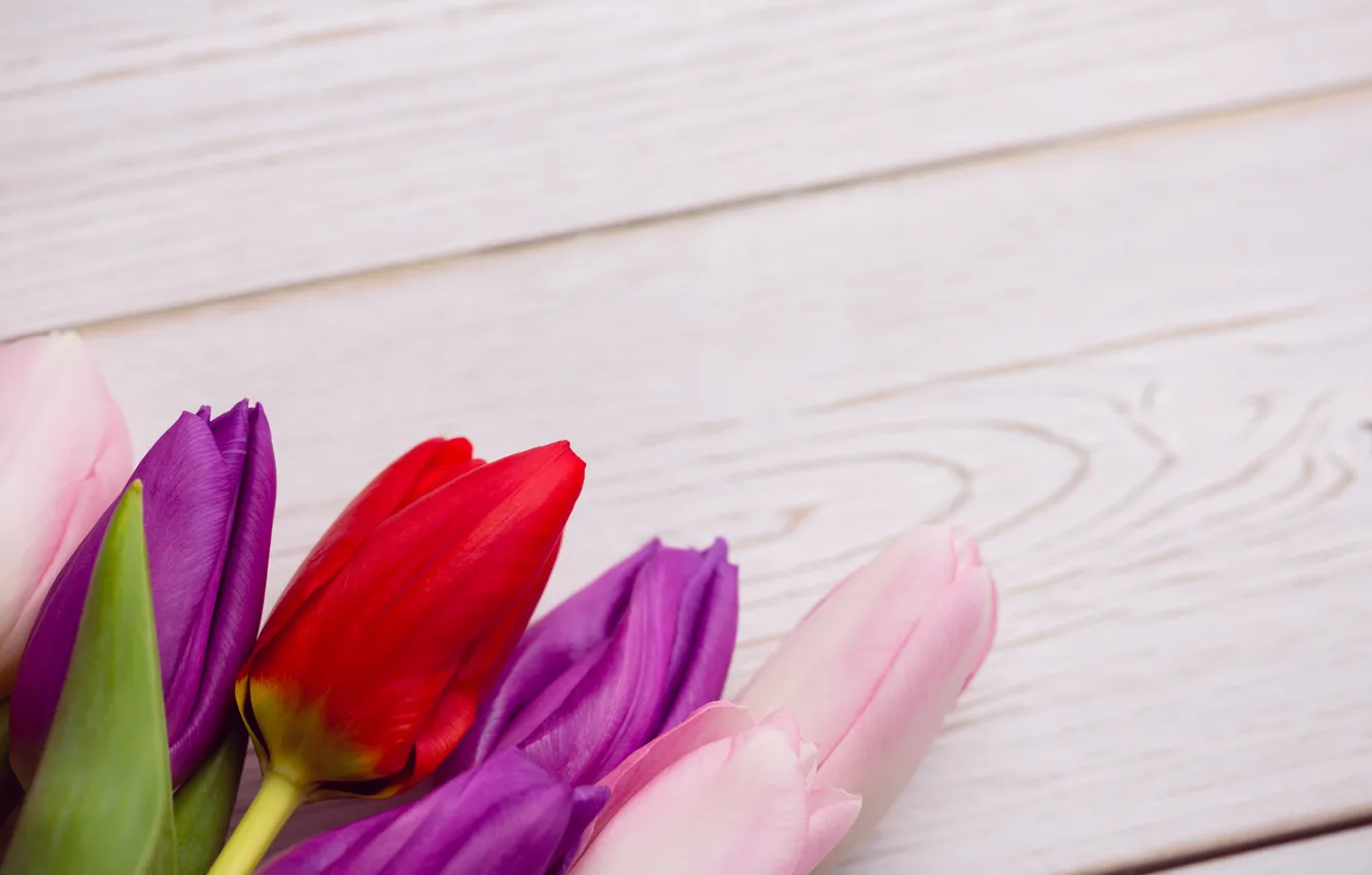 Photo wallpaper flowers, bouquet, colorful, tulips, red, white, wood, flowers