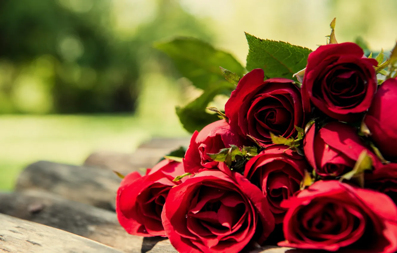 Photo wallpaper bouquet, red, wood, romantic, roses, red roses