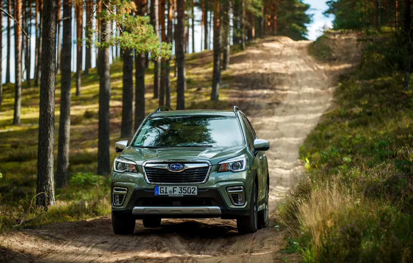 Photo wallpaper the descent, Subaru, crossover, Forester, 2019