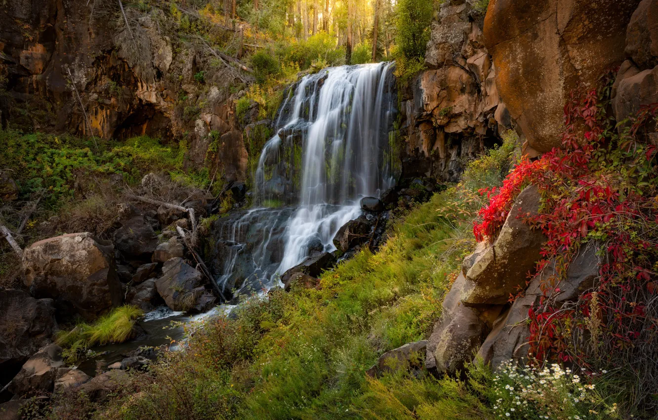 Photo wallpaper forest, rocks, waterfall, AZ, Arizona, White Mountains