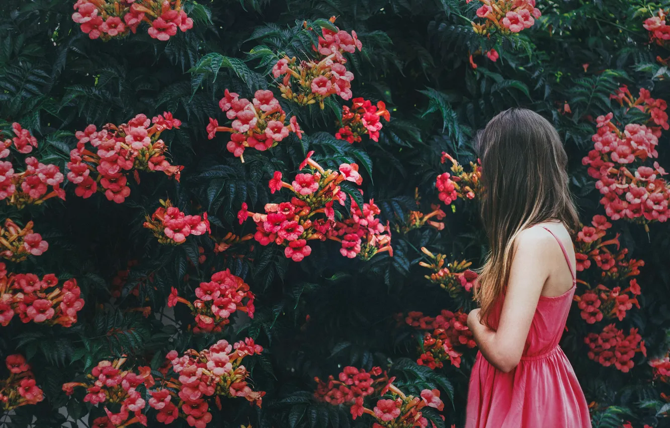 Photo wallpaper girl, flowers, dress, sundress