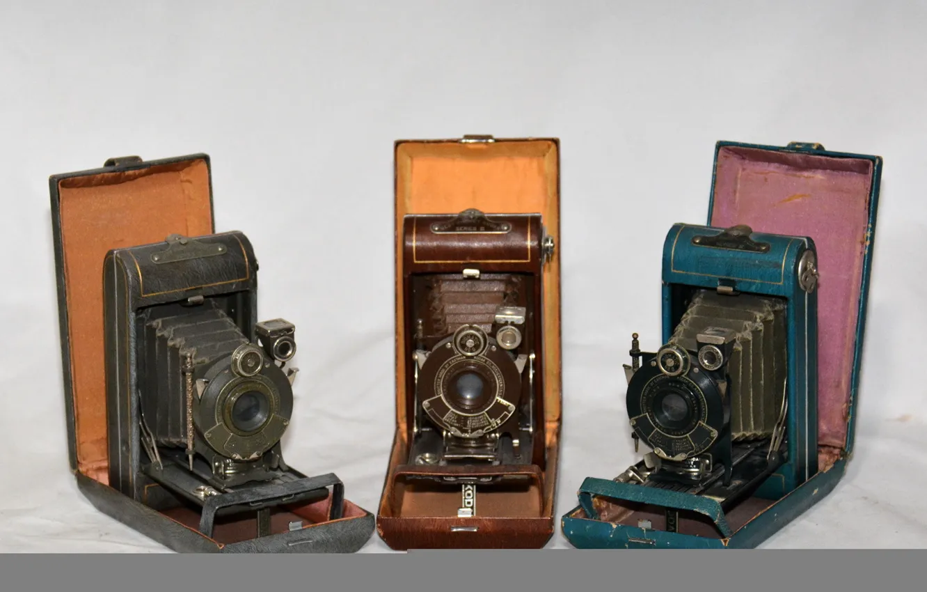 Photo wallpaper macro, background, camera