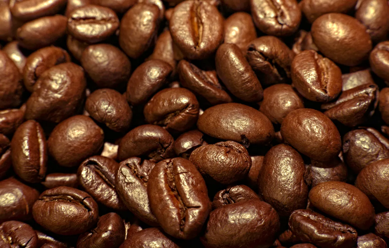 Photo wallpaper macro, Wallpaper, coffee, grain, closeup