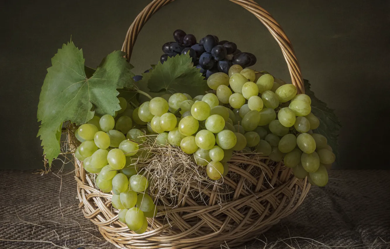Photo wallpaper leaves, blue, green, table, wine, glass, bottle, grapes