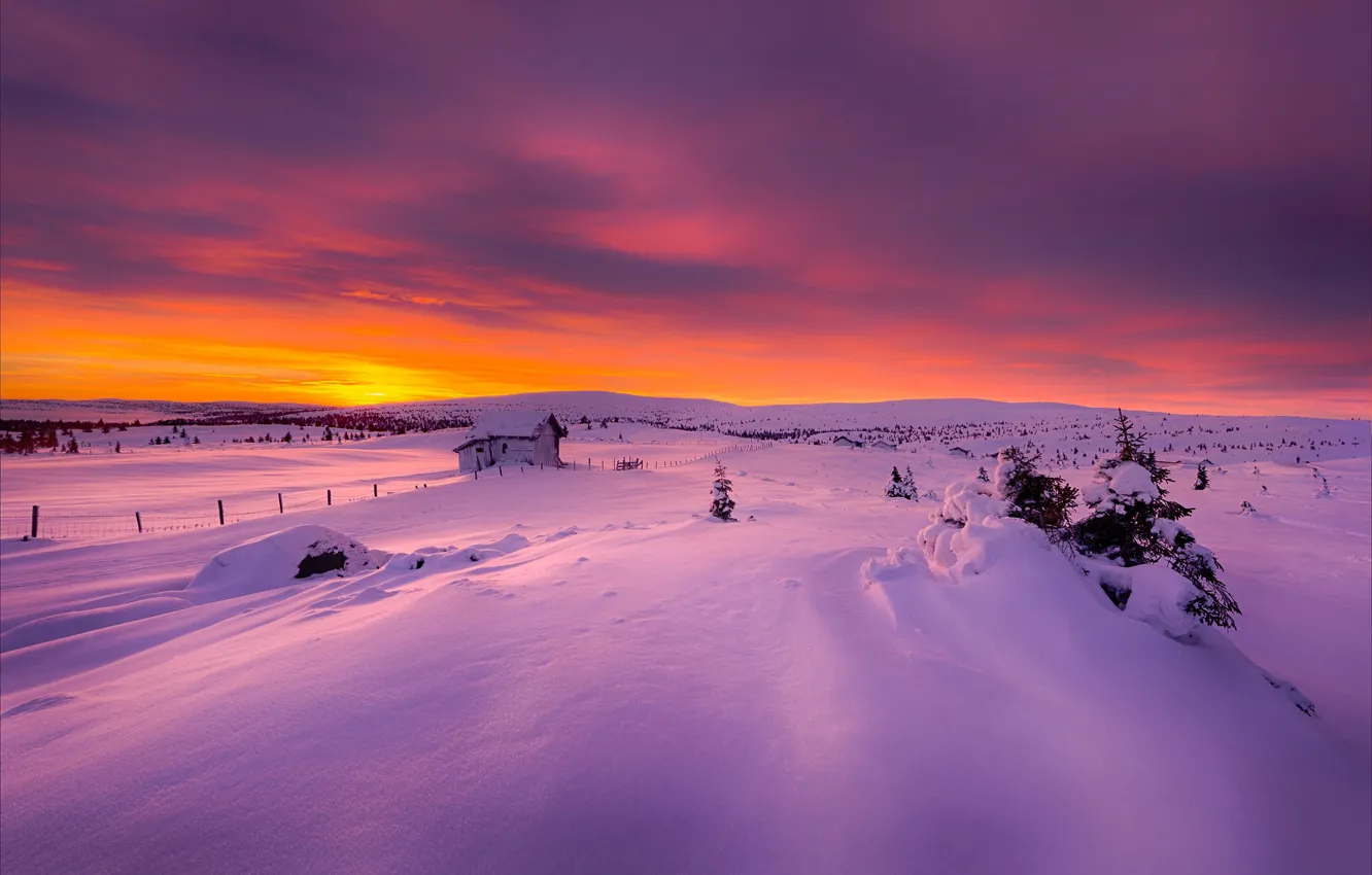 Photo wallpaper winter, light, snow, morning, Norway, house, December