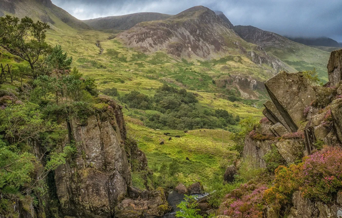 Photo wallpaper landscape, mountains, nature, stones, beauty