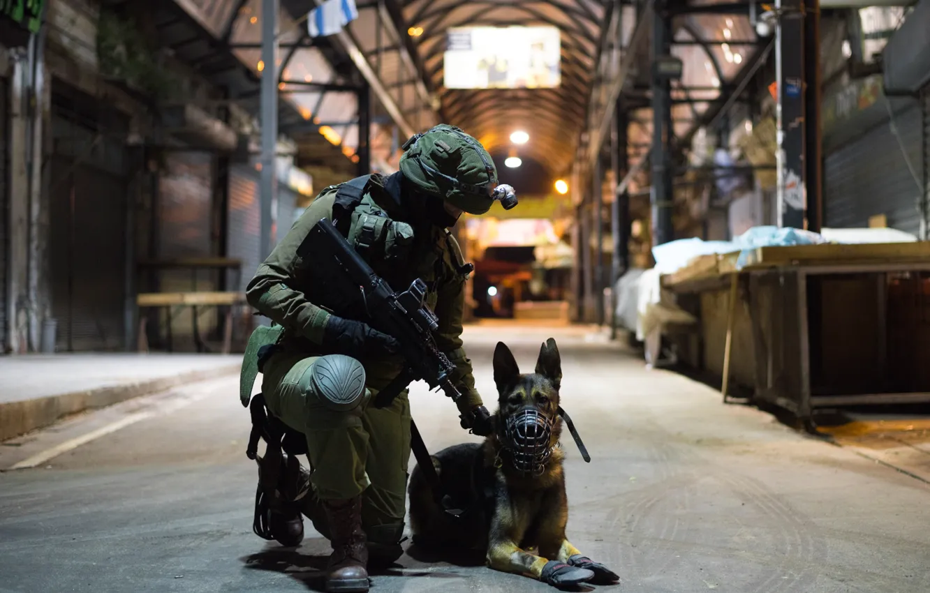 Photo wallpaper dog, soldiers, machine, service
