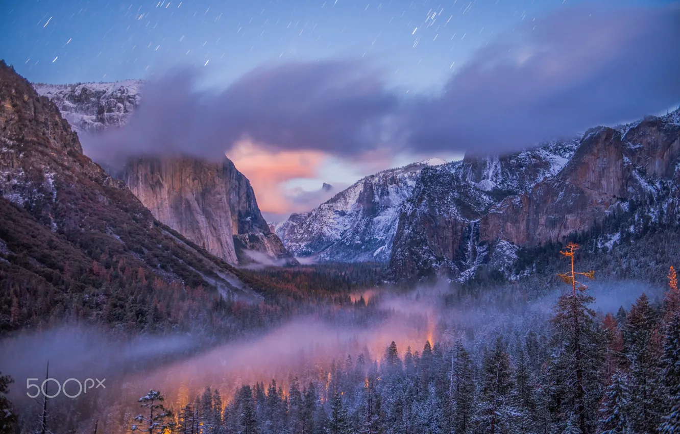 Photo wallpaper forest, stars, light, mountains, night, the evening, USA