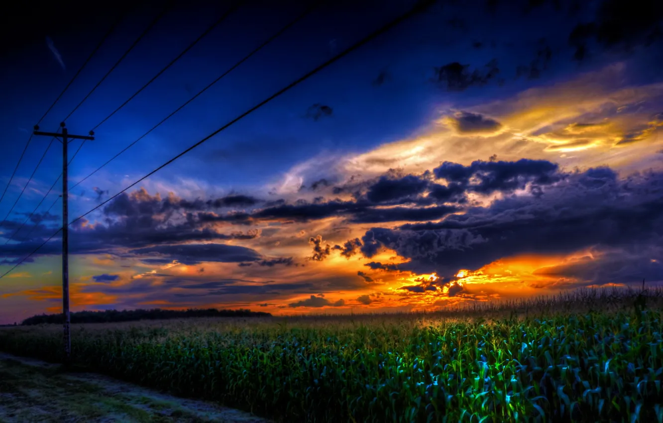 Photo wallpaper landscape, sunset, wire, corn