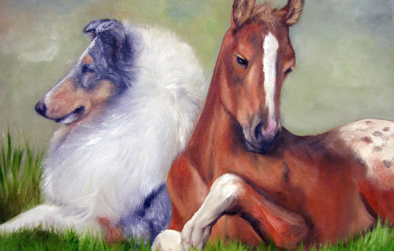 Photo wallpaper look, pose, horse, horse, oil, portrait, dog, pair