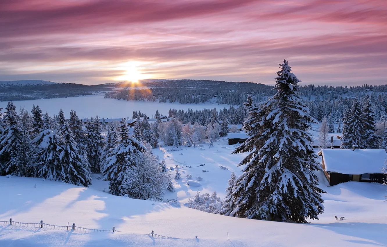 Photo wallpaper winter, snow, morning