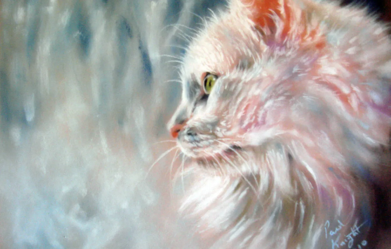 Photo wallpaper cat, white, look, rain, window, muzzle, profile, painting