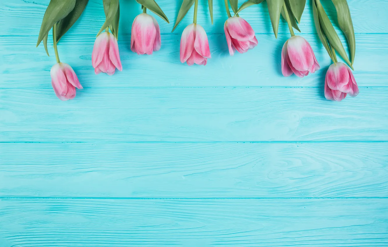 Photo wallpaper flowers, tulips, pink, fresh, wood, pink, flowers, beautiful