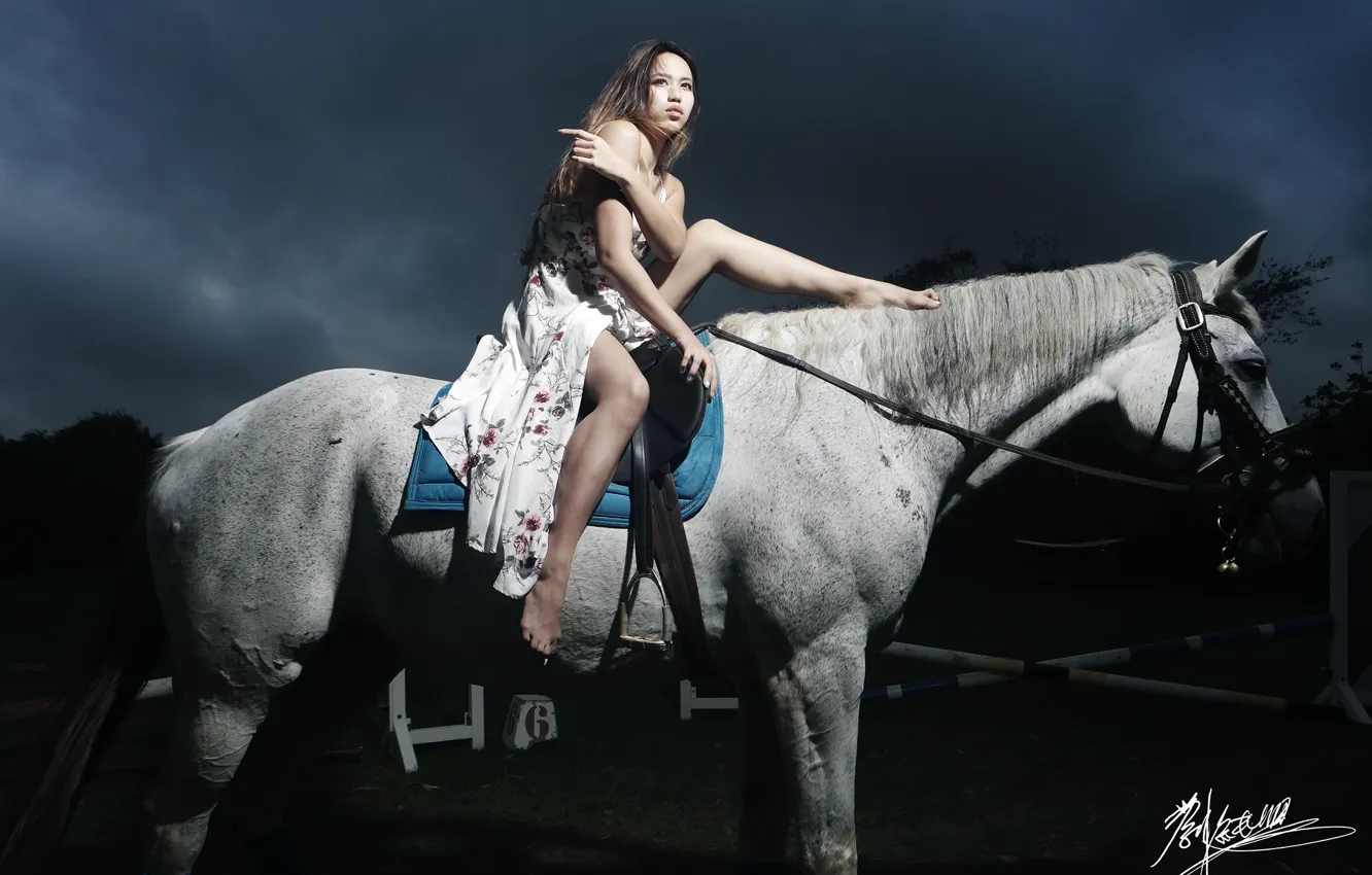 Photo wallpaper girl, night, horse