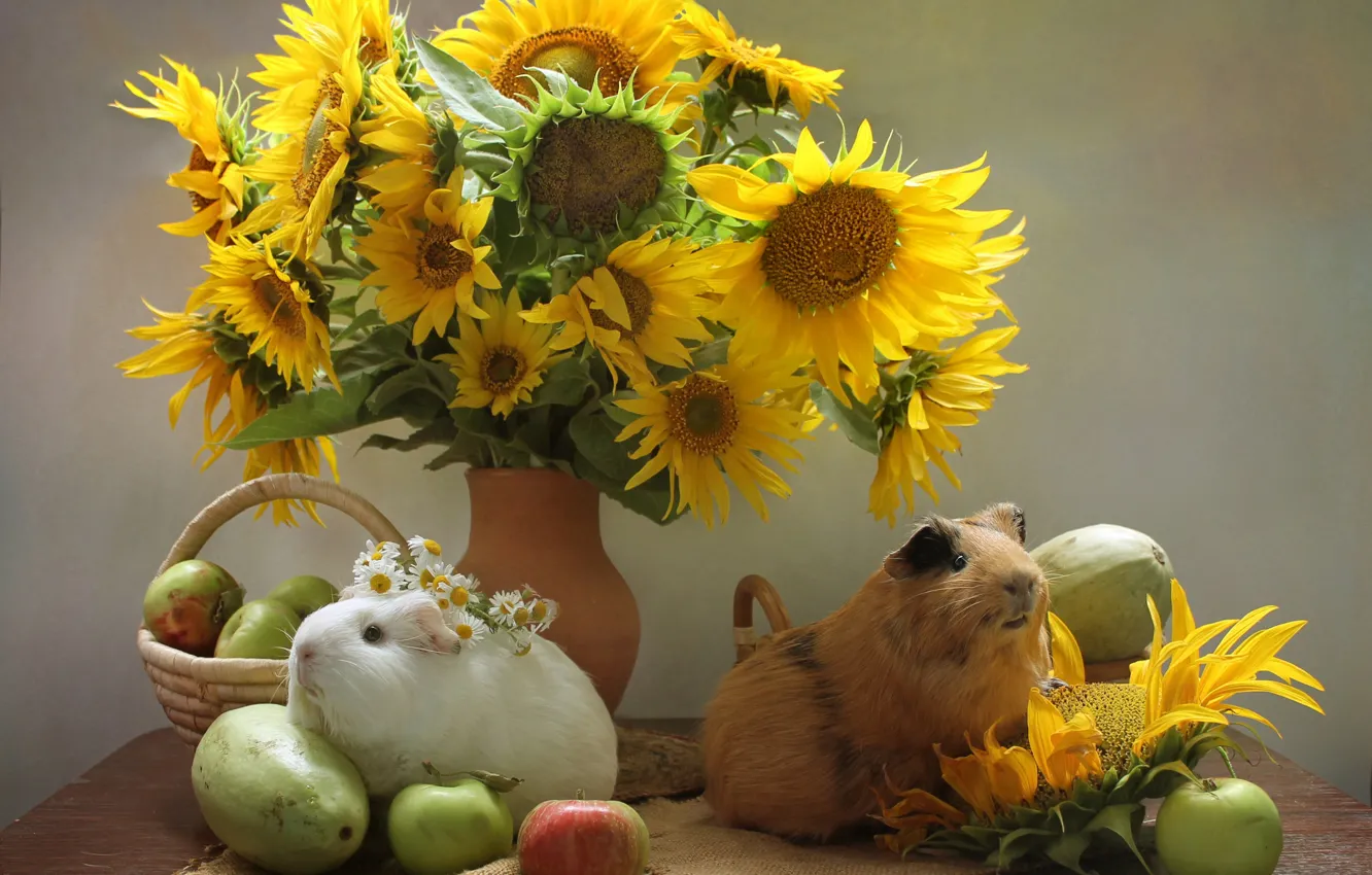 Photo wallpaper flowers, animal, Guinea pigs