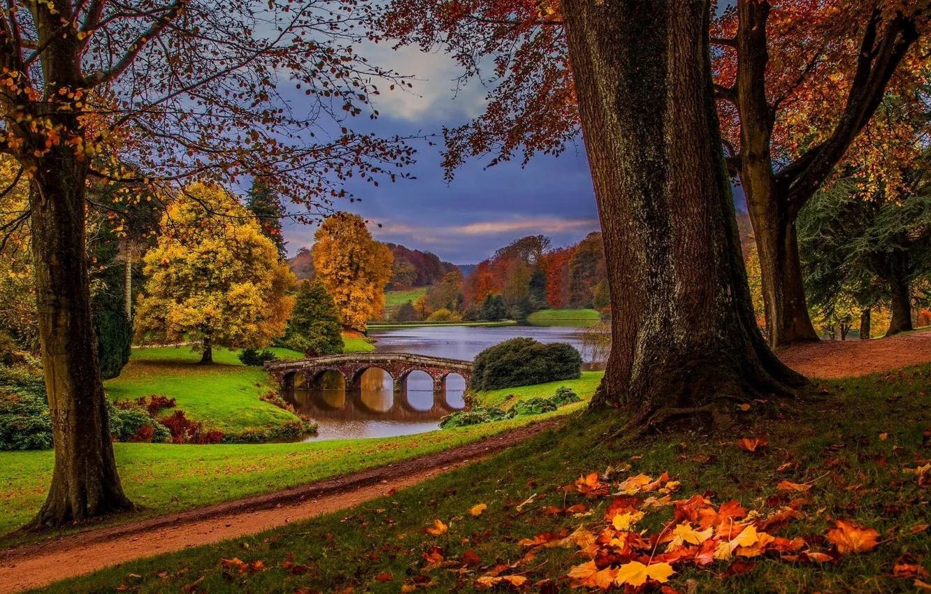 Photo wallpaper river, trees, nature, bridge