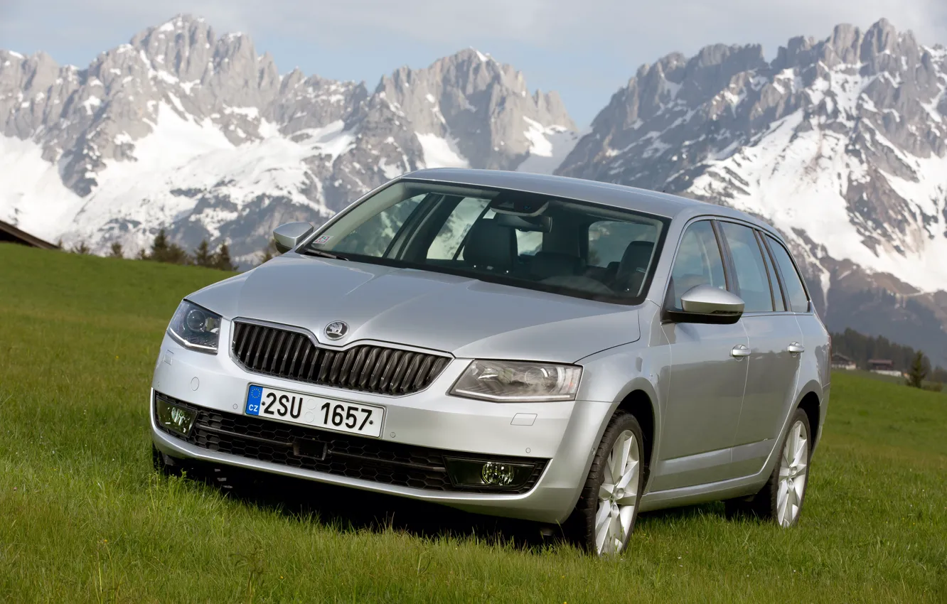 Photo wallpaper grass, snow, mountains, meadow, 4x4, Skoda, universal, 2013