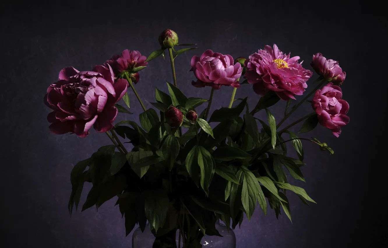 Photo wallpaper flowers, bouquet, peonies