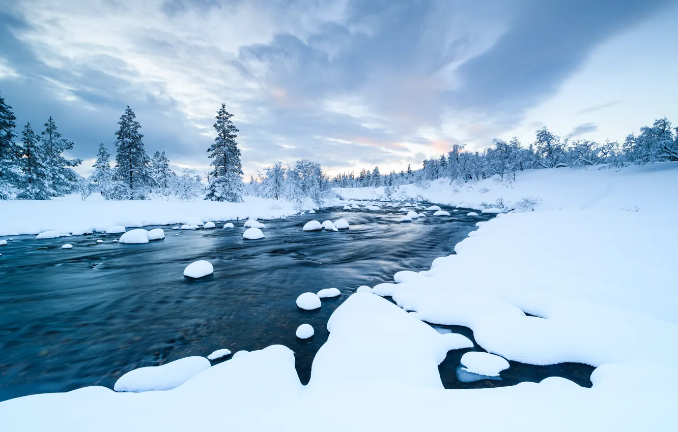 Photo wallpaper winter, snow, trees, landscape, river, forest, river, trees
