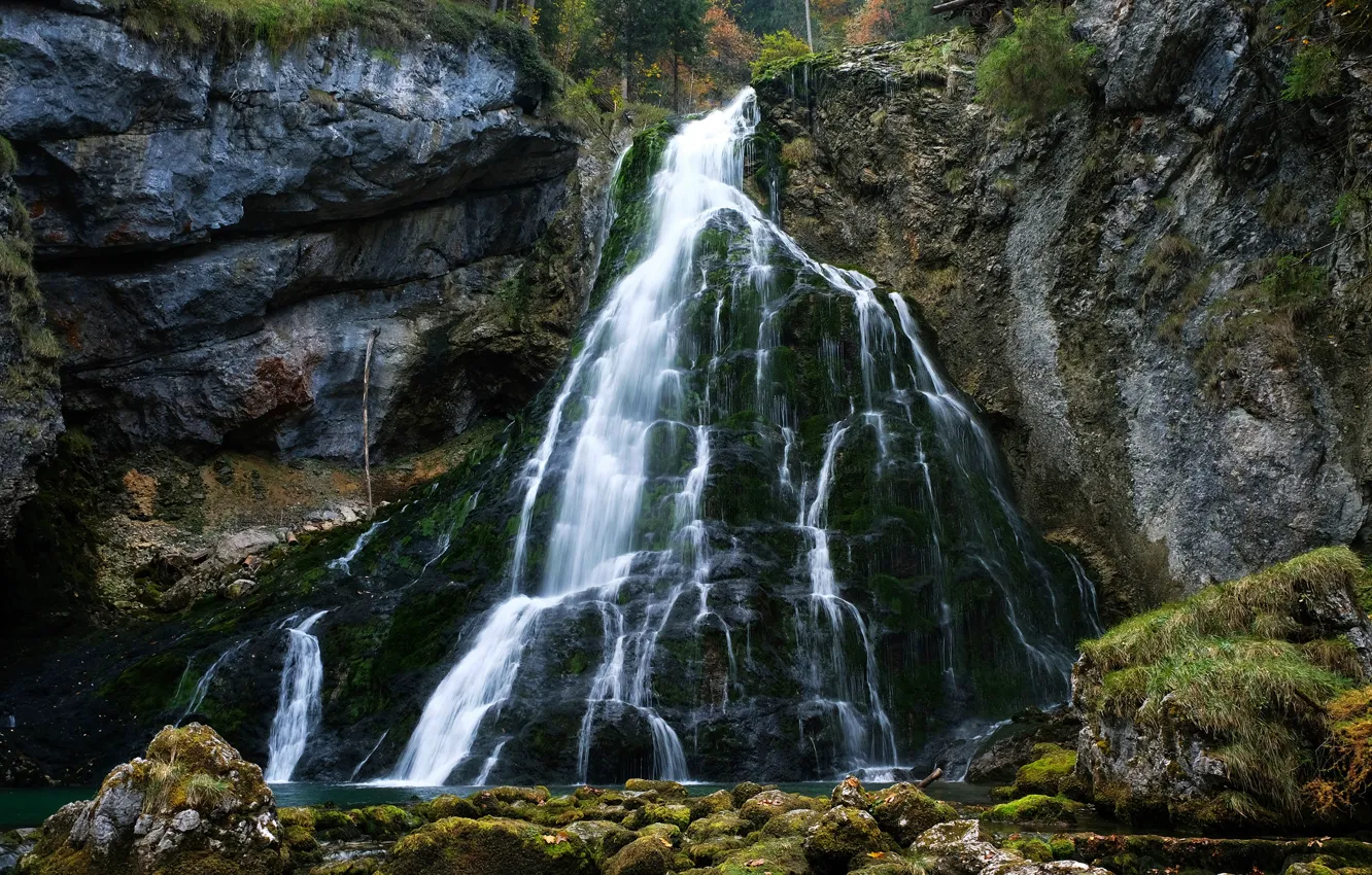 Photo wallpaper forest, trees, stones, rocks, height, waterfall, moss, Austria