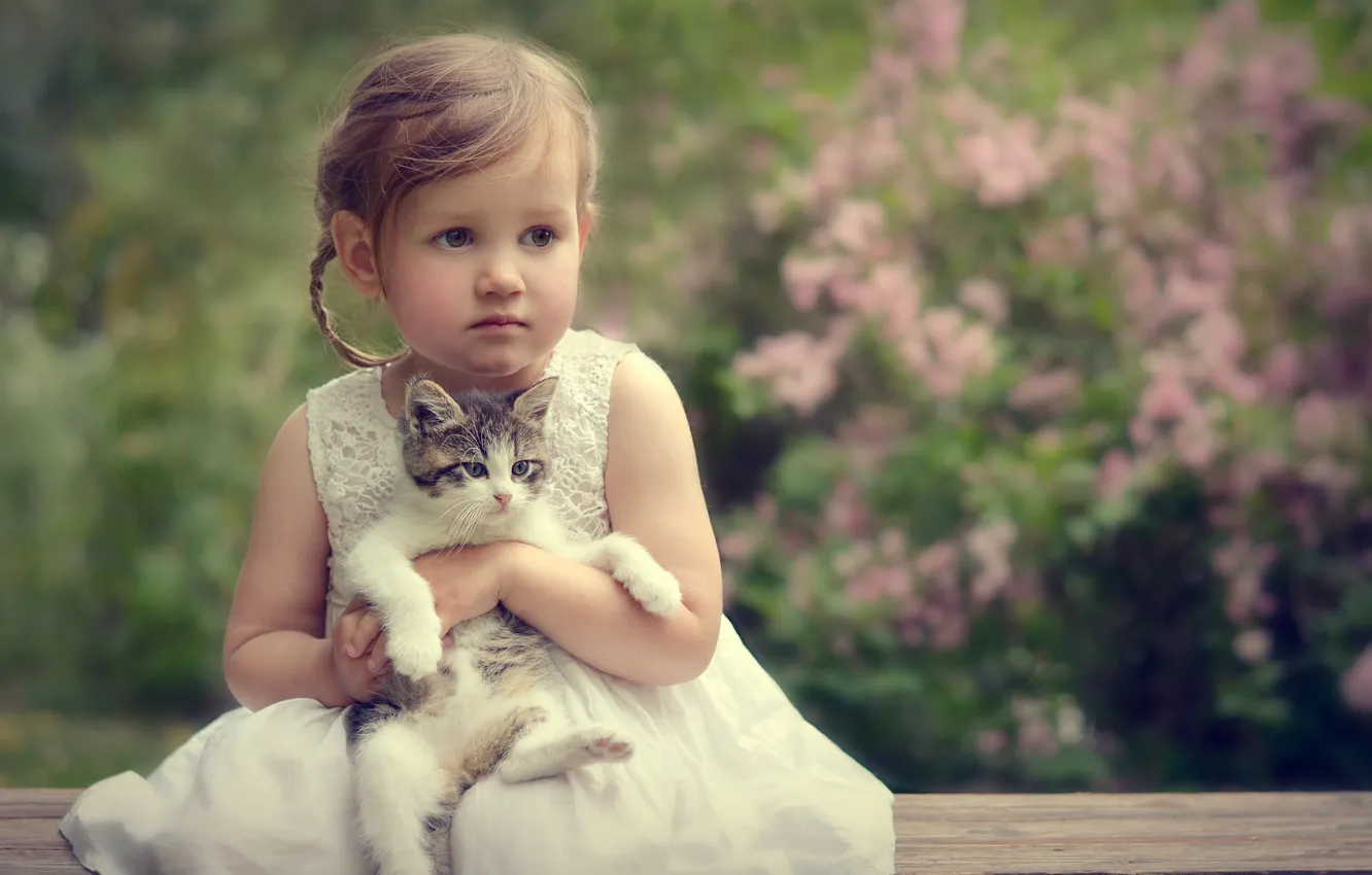 Photo wallpaper portrait, girl, kitty