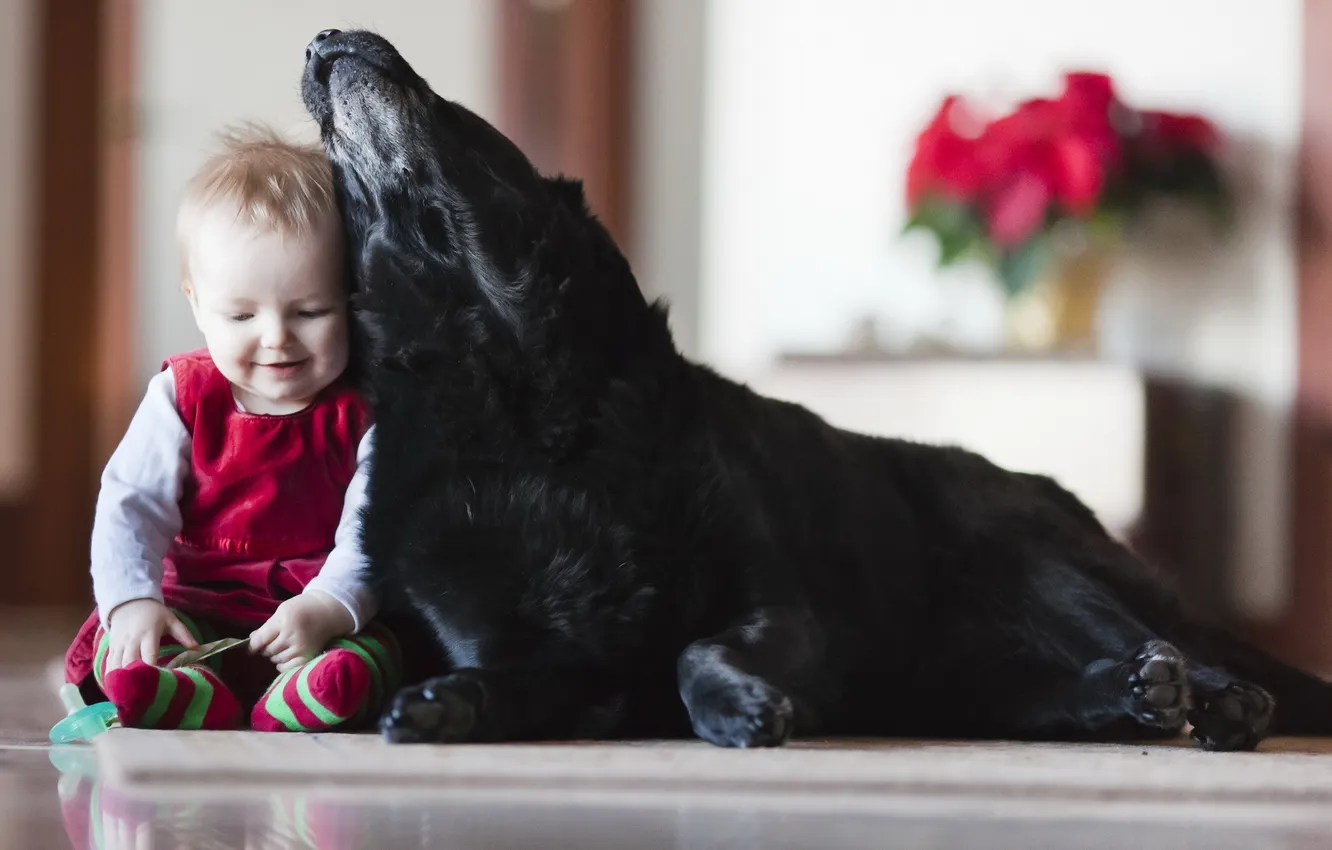 Photo wallpaper mood, dog, girl