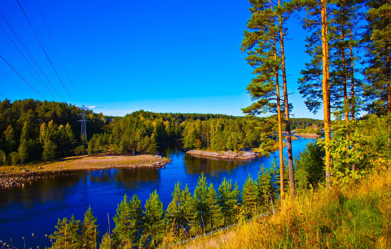 Photo wallpaper autumn, forest, the sky, trees, nature, river, wire, support