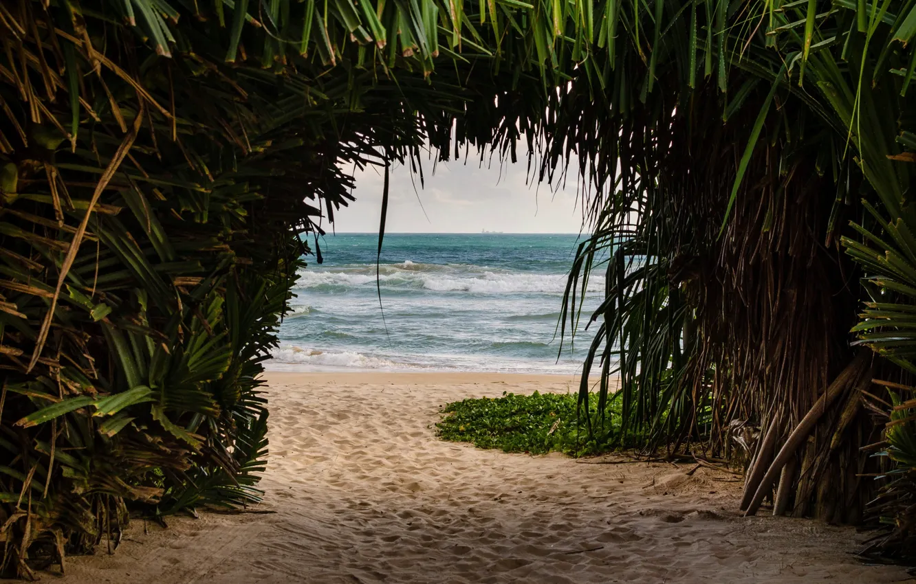 Photo wallpaper beach, landscape, nature