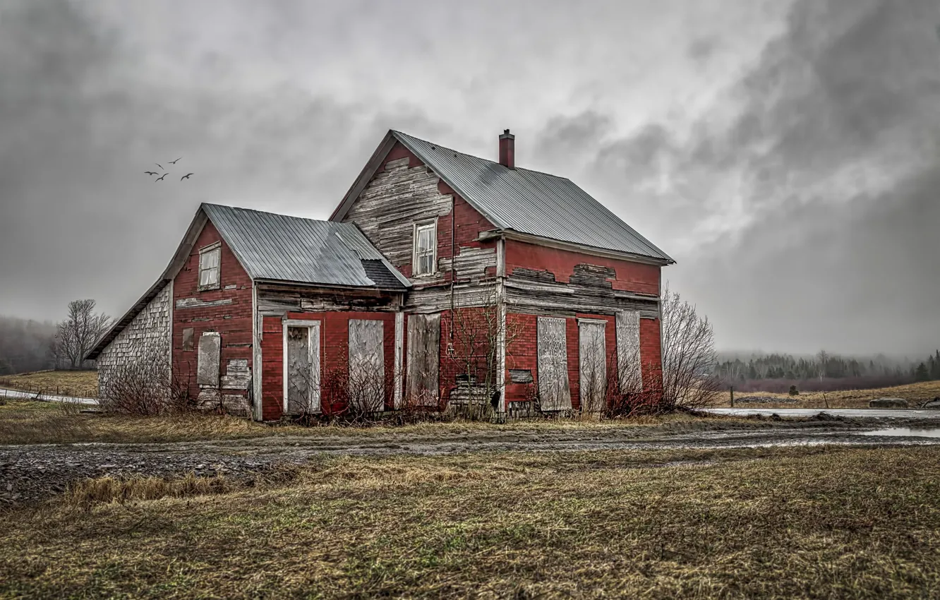 Photo wallpaper the sky, background, home