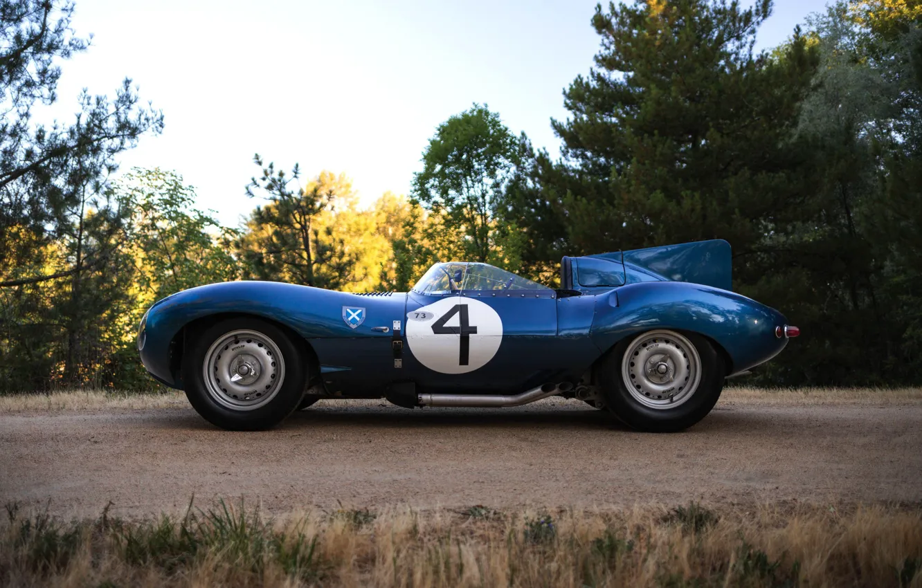 Photo wallpaper room, side view, racing car, Jaguar D-Type