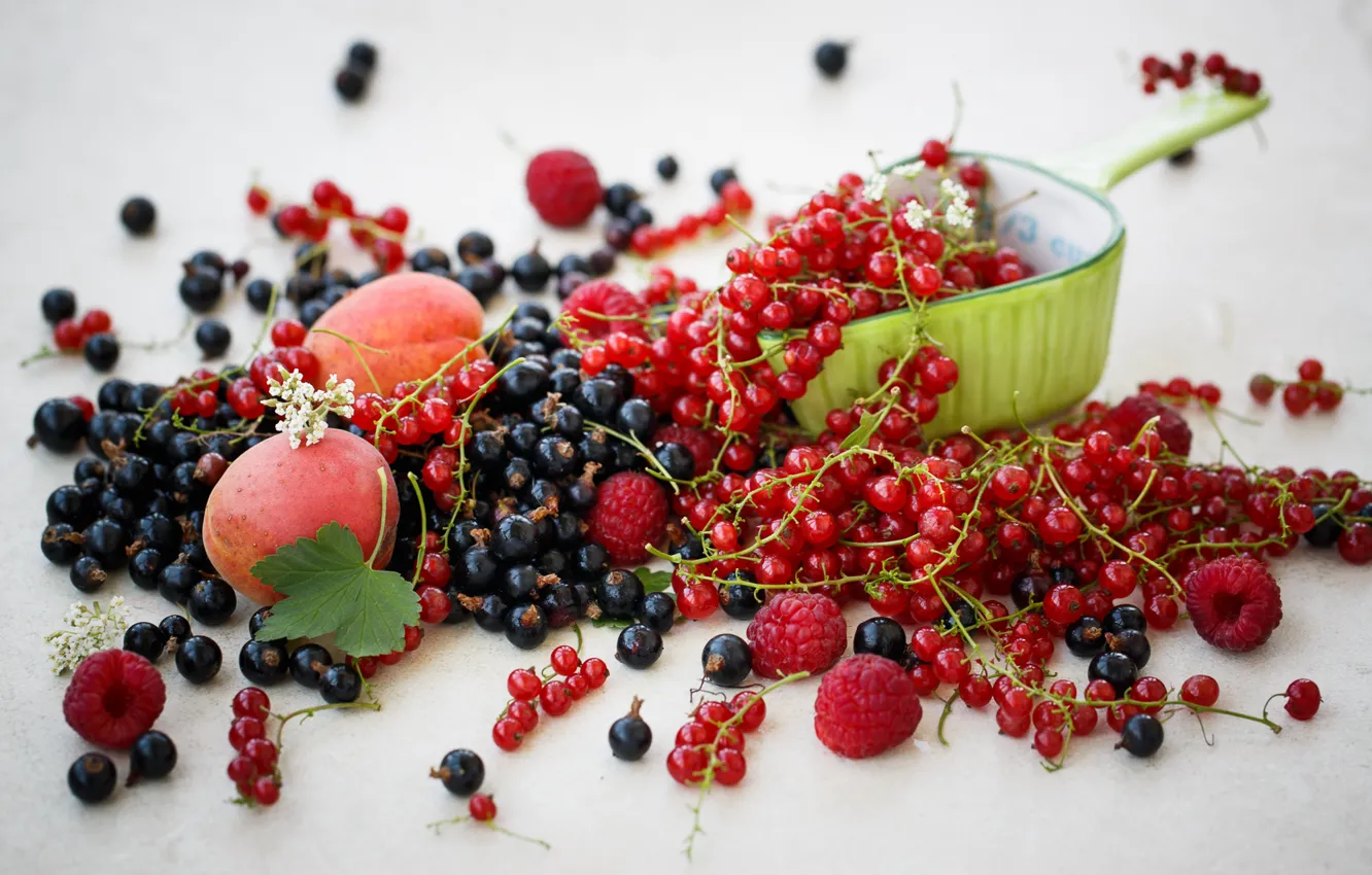 Photo wallpaper berries, raspberry, food, black, fruit, red, currants, apricots