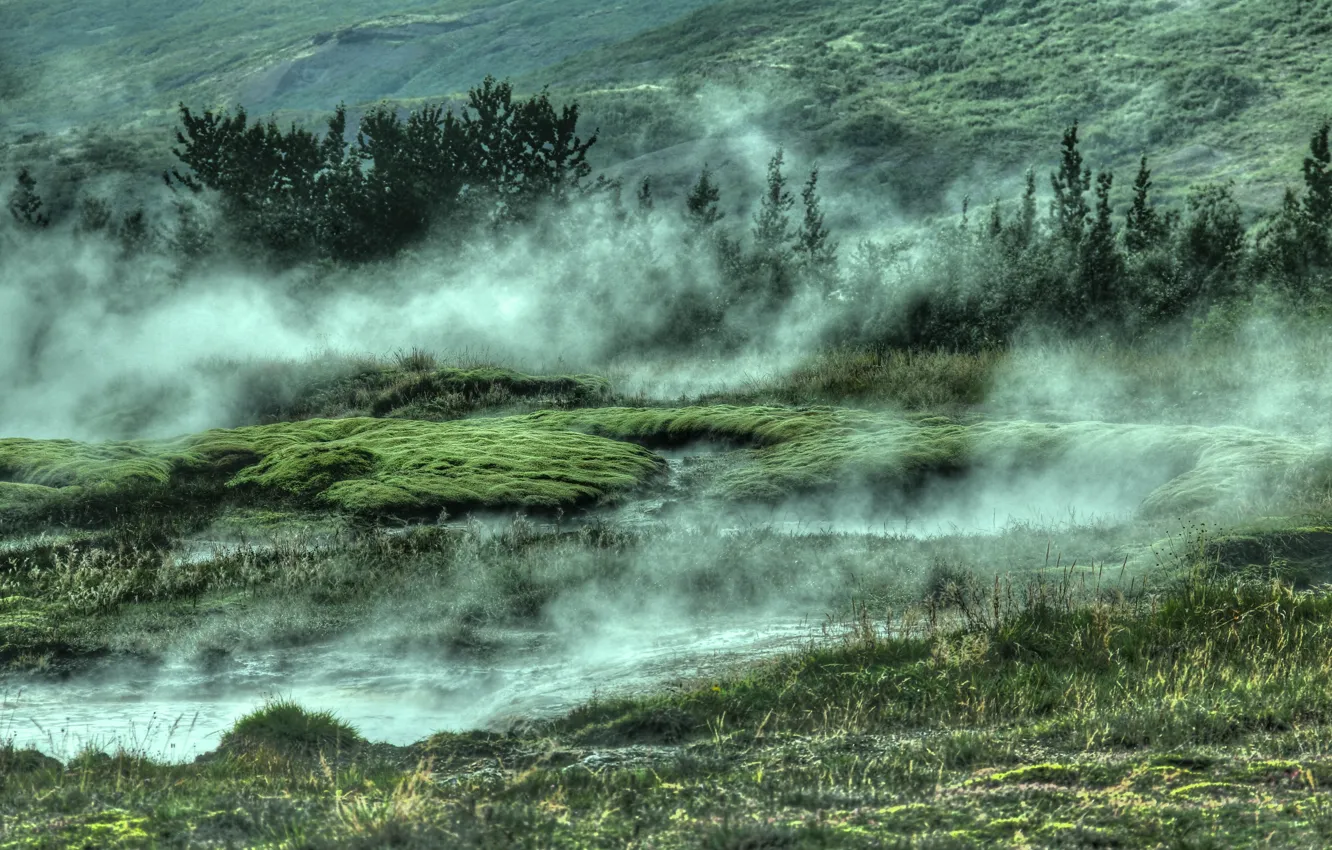 Photo wallpaper green, grass, trees, nature, water, fog, Iceland, geothermal area