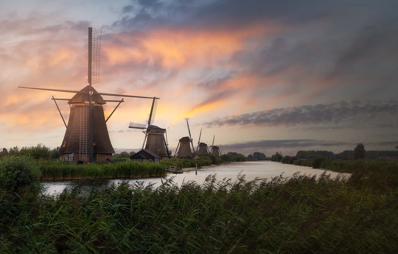 Photo wallpaper grass, clouds, shore, pond, windmills