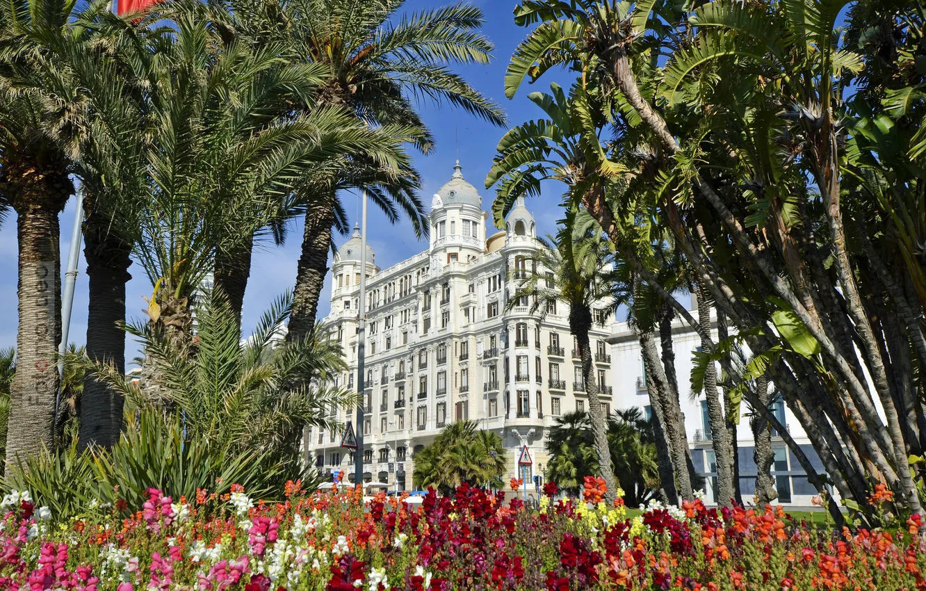 Photo wallpaper flowers, palm trees, the building, Spain, Spain, Valencia, Valencia, Alicante