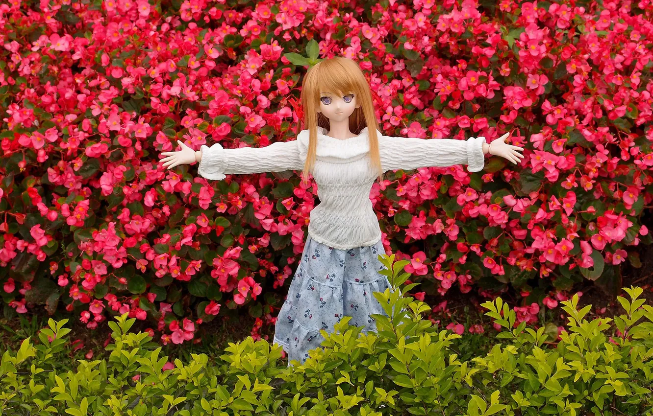 Photo wallpaper flowers, toy, plant, doll, red