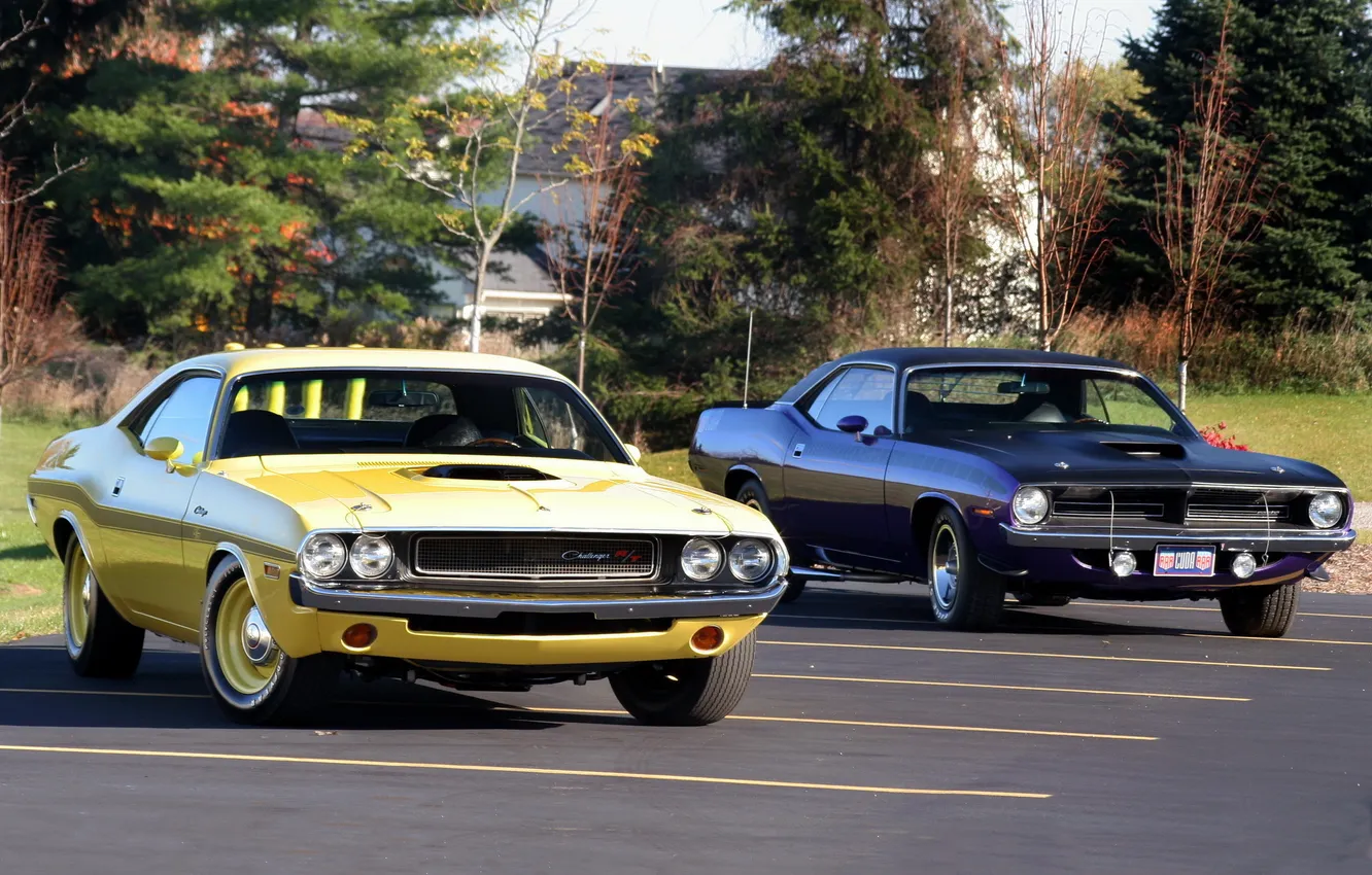 Photo wallpaper Dodge, Plymouth, muscle cars
