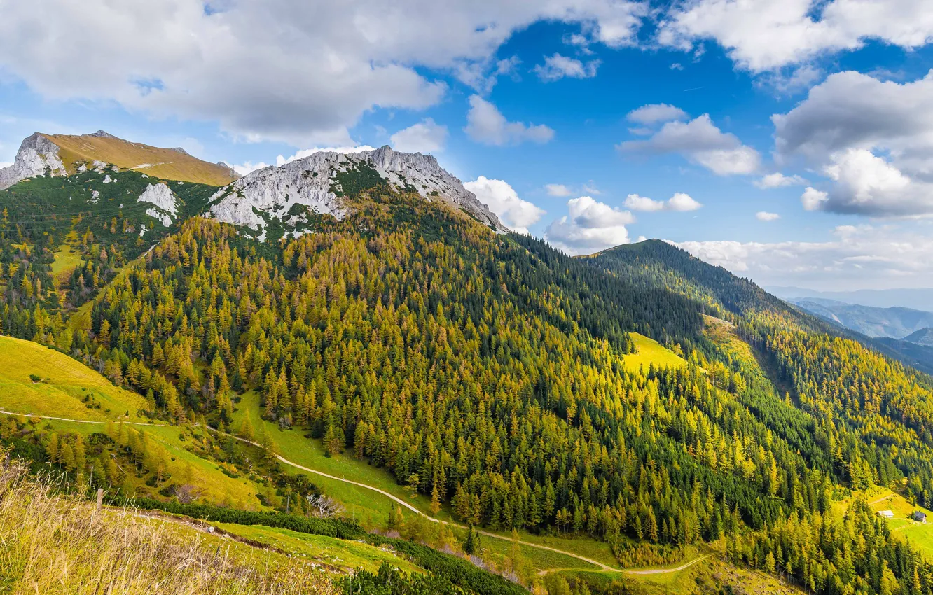 Photo wallpaper road, autumn, forest, clouds, mountains, yellow, nature, blue