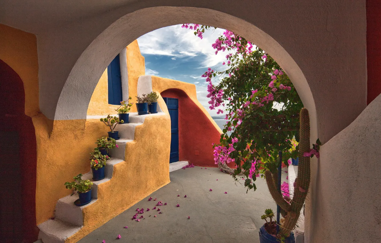 Photo wallpaper flowers, building, Greece, patio