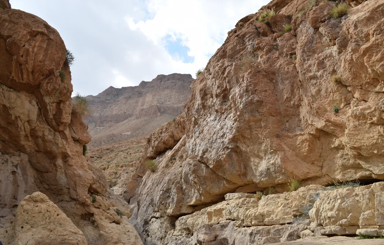 Photo wallpaper summer, desert, nature, yellow, stone, wild, Israel, Nofilter