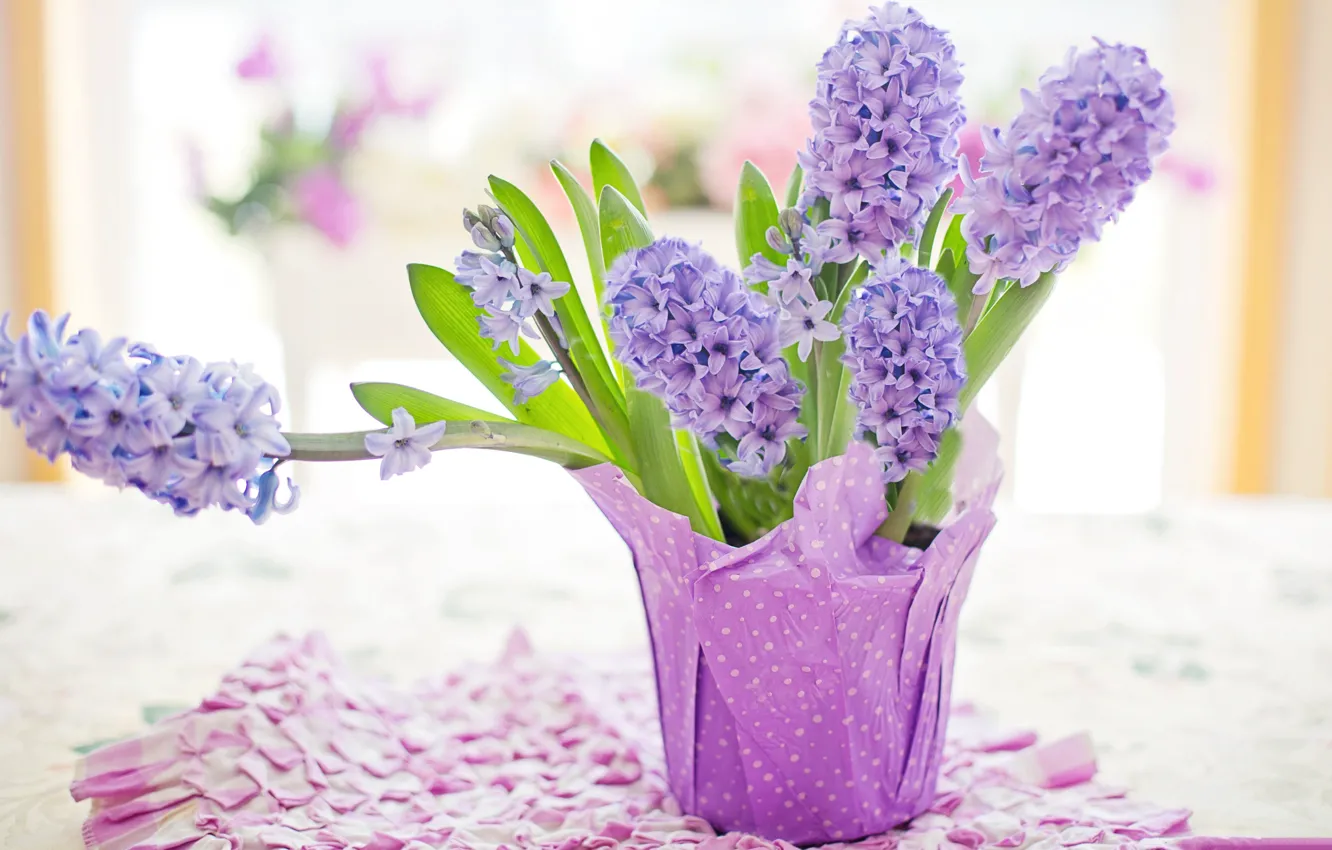 Photo wallpaper flowers, bouquet, Easter, hyacinth